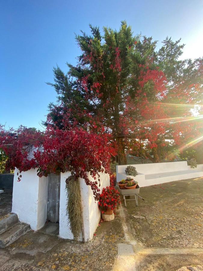Trulli Demetra Villa Martina Franca Exteriör bild